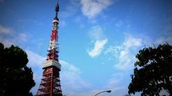 在线观看《东京塔》,跨越时空的母女情缘，探寻都市中的温情与孤独  第2张